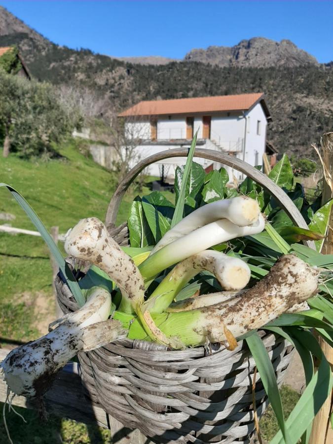 Вилла Agriturismo Grilla Меле Экстерьер фото