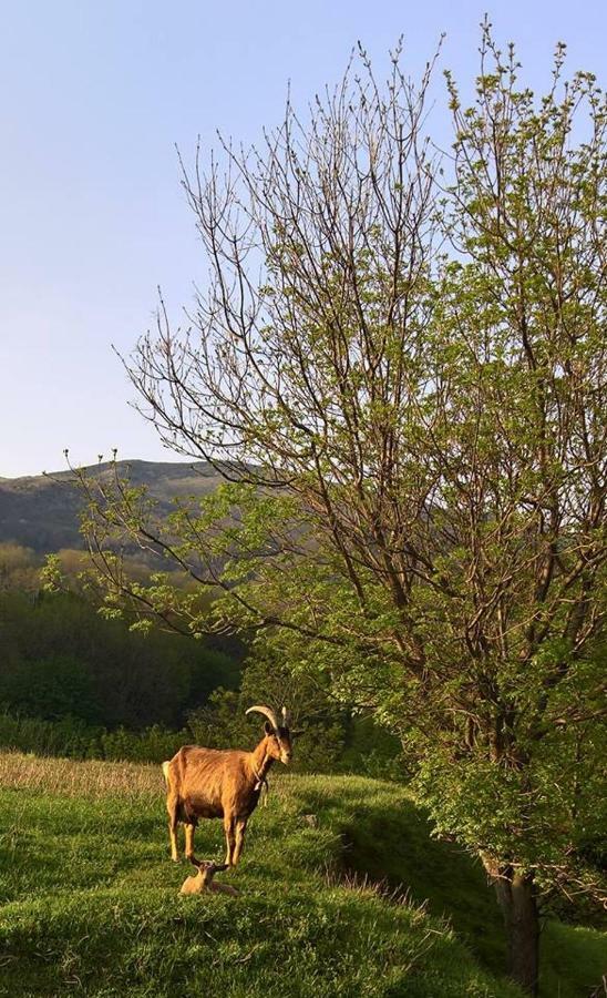 Вилла Agriturismo Grilla Меле Экстерьер фото