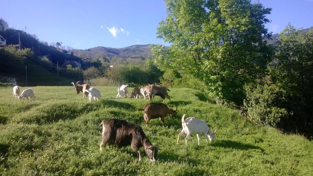 Вилла Agriturismo Grilla Меле Номер фото